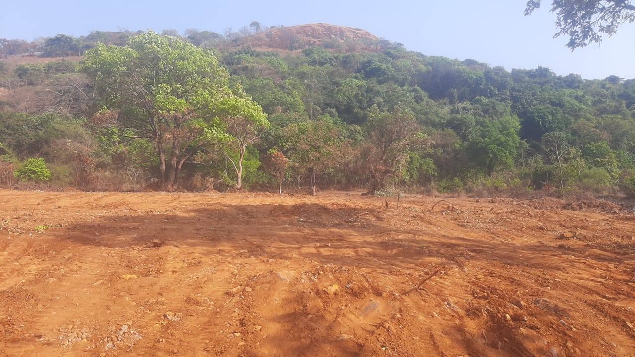 54-farmhouse-plot-4e9bb8da-a9a1-4087-923f-d334a9bdc803.jpg