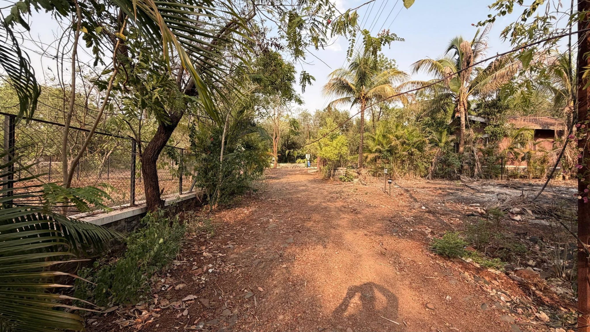 545-farmhouse-plot-cc7ba000-1e3e-48cd-a5d6-3e73cfb7dd08.jpg