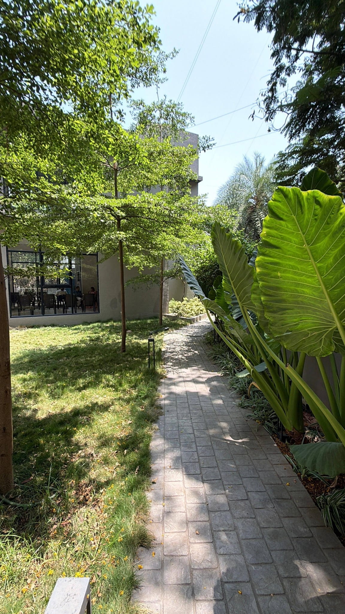 552-bungalow-2a3616b9-2a6e-4760-8e01-778f13fc7869.jpg
