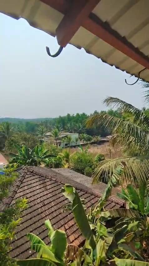 553-bungalow-942a7ea2-ded4-4bfb-81c7-e521b6cda0b5.jpg