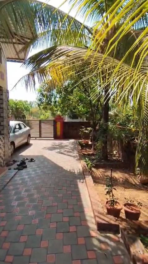 553-bungalow-fefcf14b-9a22-4890-85de-ee10556cca64.jpg