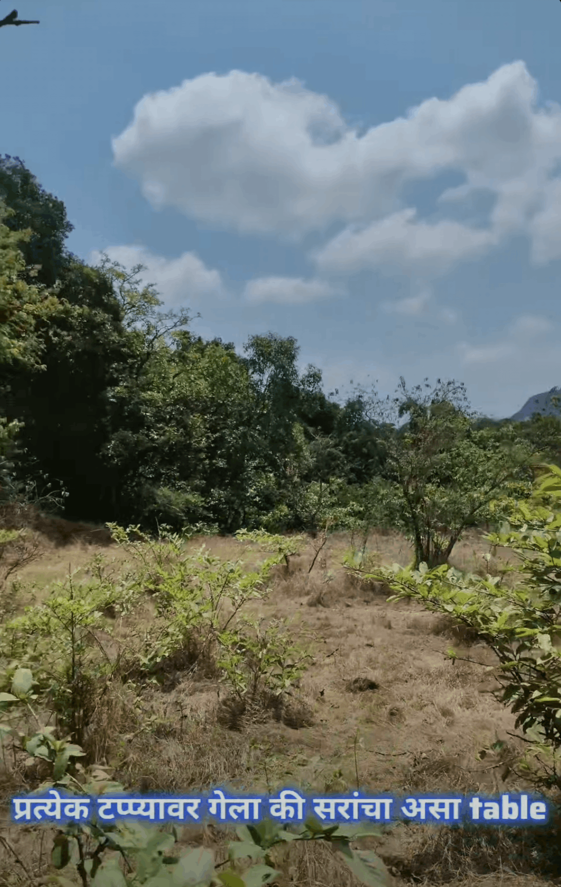 557-agriculture-plot-159e0ee0-2ec4-4707-872c-677763dc6634.png