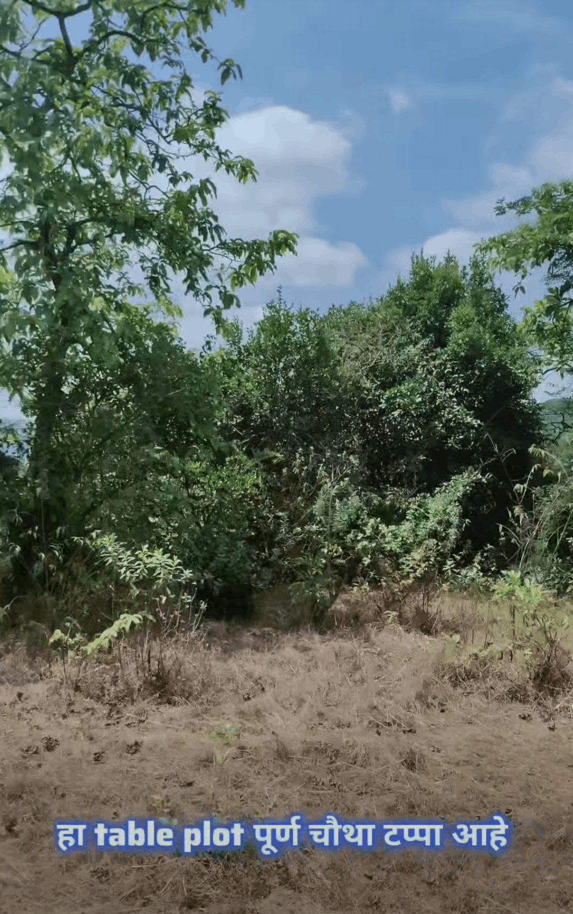 557-agriculture-plot-a54730d3-6b18-43a2-b8cf-eb8685af0283.png
