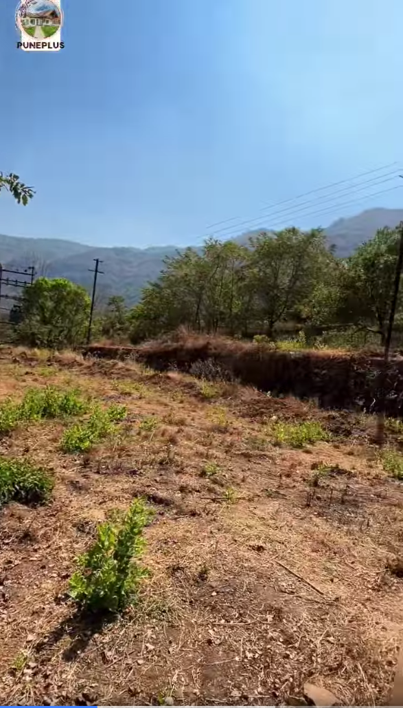 56-farmhouse-plot-6eb57bff-dddc-4716-a9fe-fbd0876d7dac.png