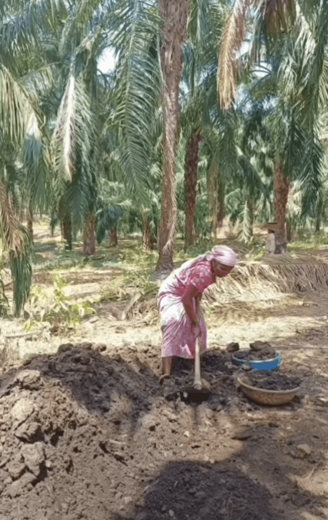561-agriculture-plot-768bd38c-545f-4c1b-9938-b1779725d3cd.png