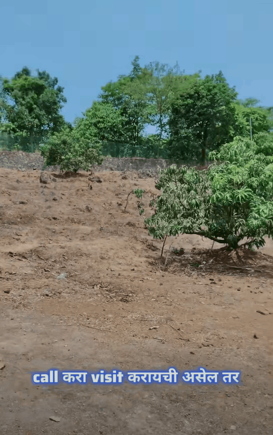 563-agriculture-plot-bae864c4-8ffb-4d18-9fd9-087c10571ddd.png