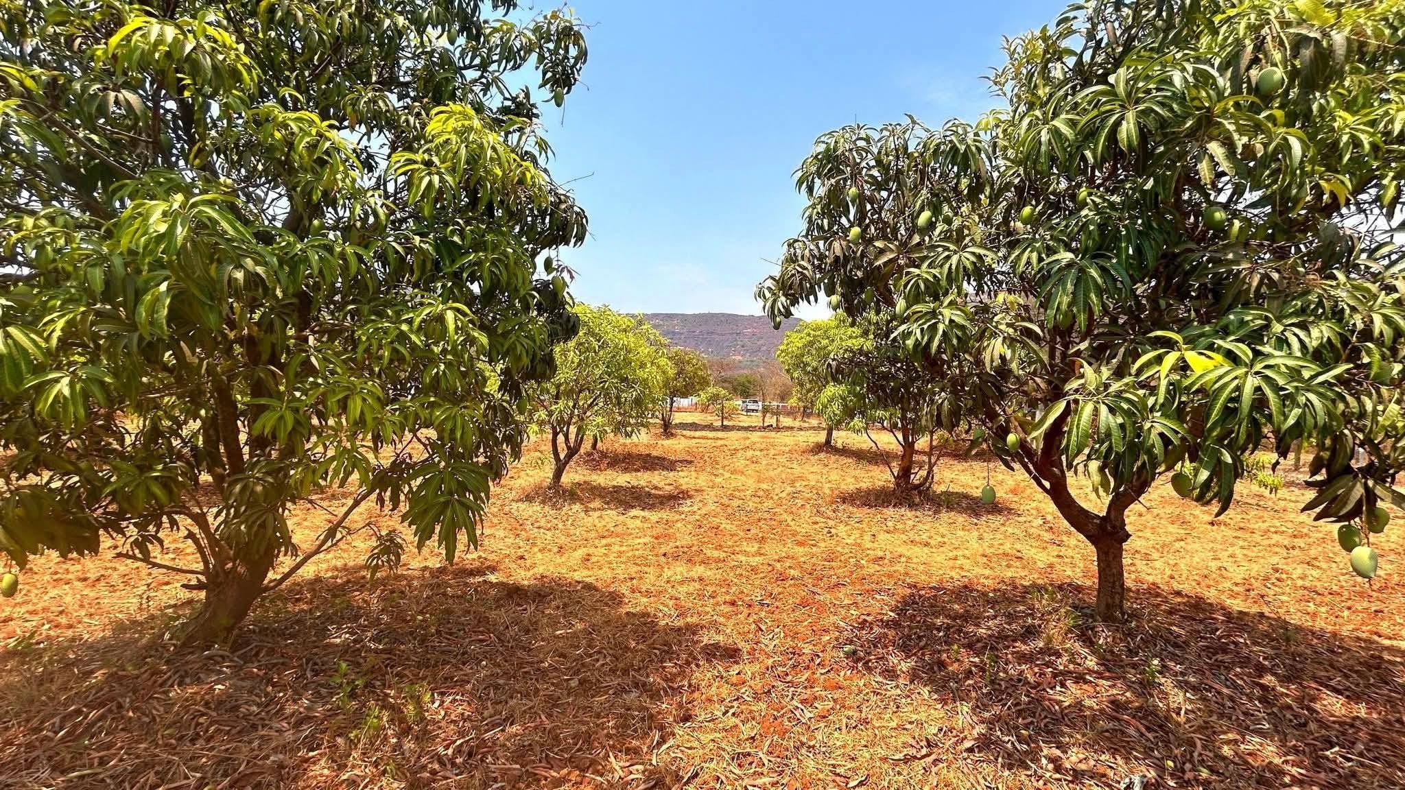 564-agriculture-plot-5aad121c-8508-4254-b913-4d2391a148b6.jpg
