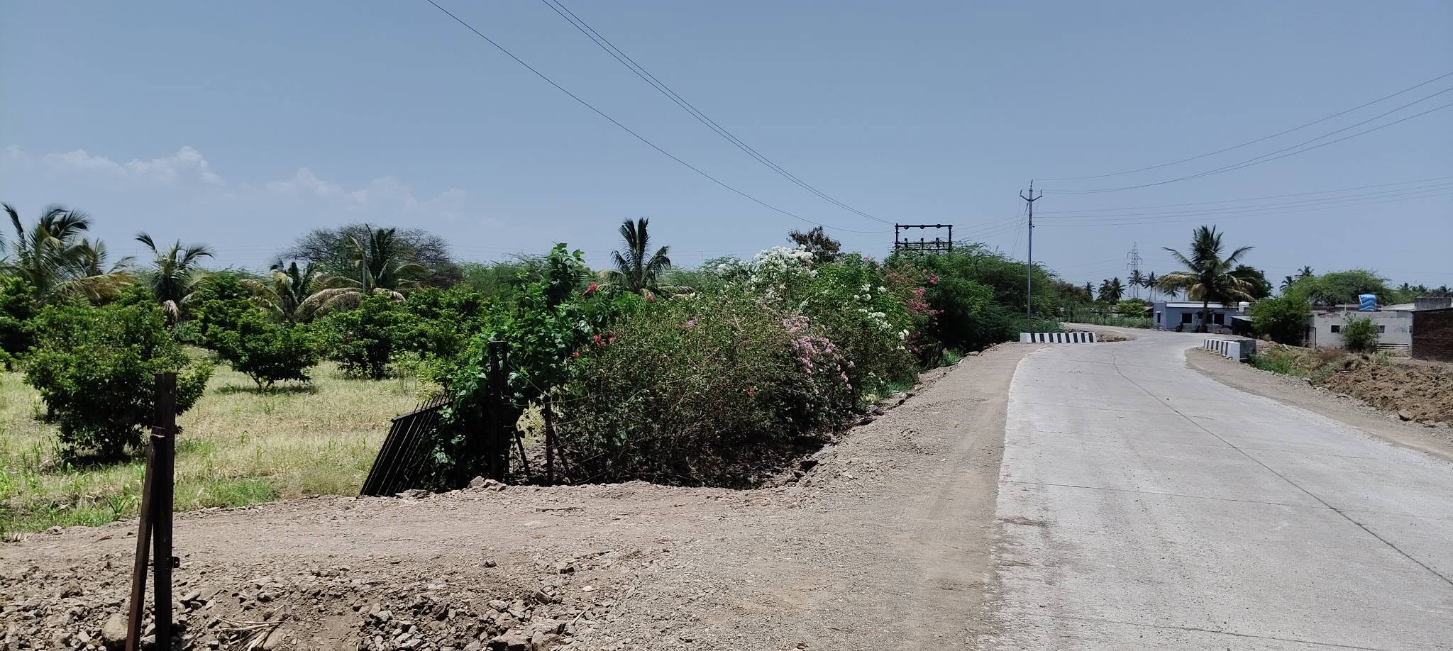565-agriculture-plot-d018722c-7982-4261-b3d4-58c6f1baaae7.jpg