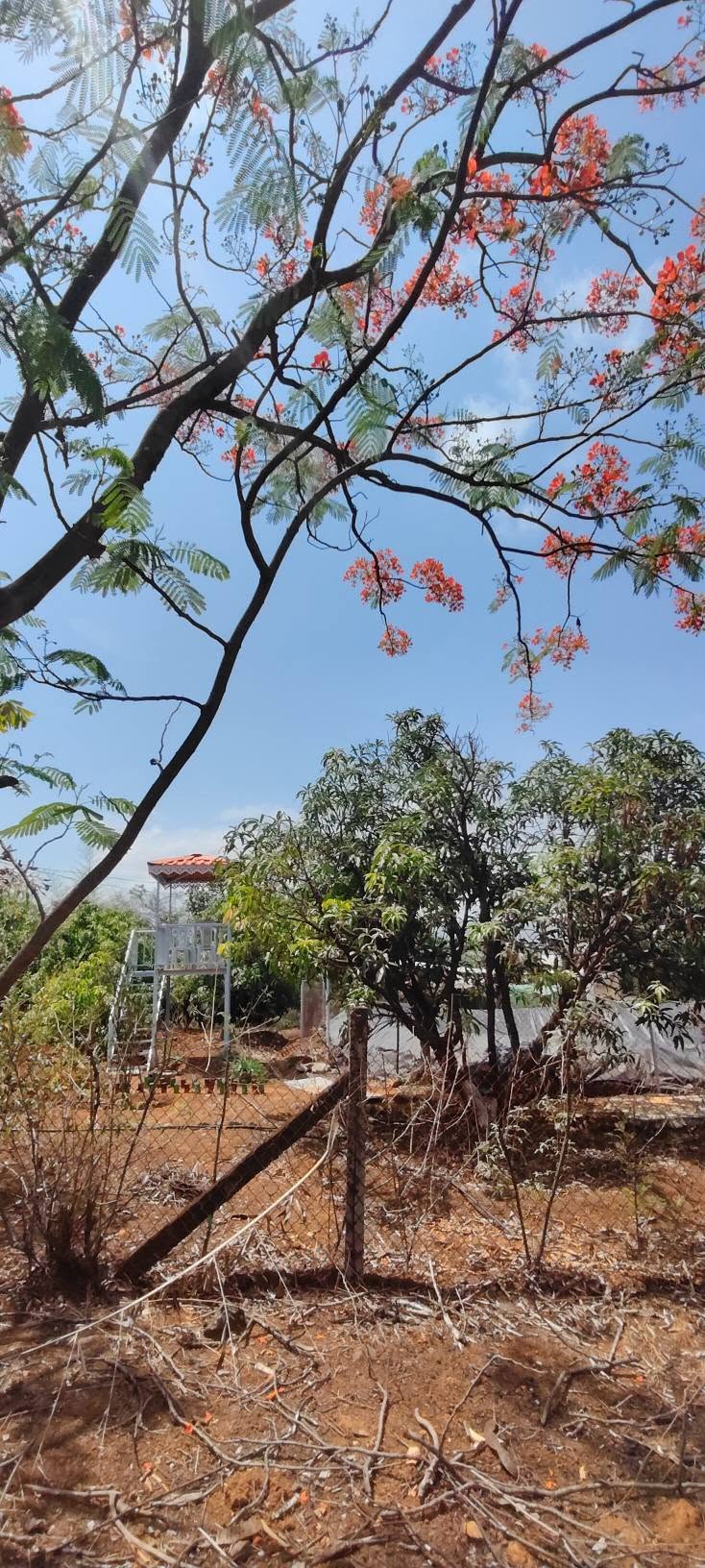 567-farmhouse-plot-99e16acc-2a12-4d70-809f-3455a5727cf8.jpg