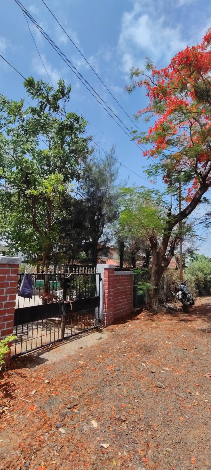 567-farmhouse-plot-ea91e2b3-8b8f-4407-926d-d48fc382f78e.jpg