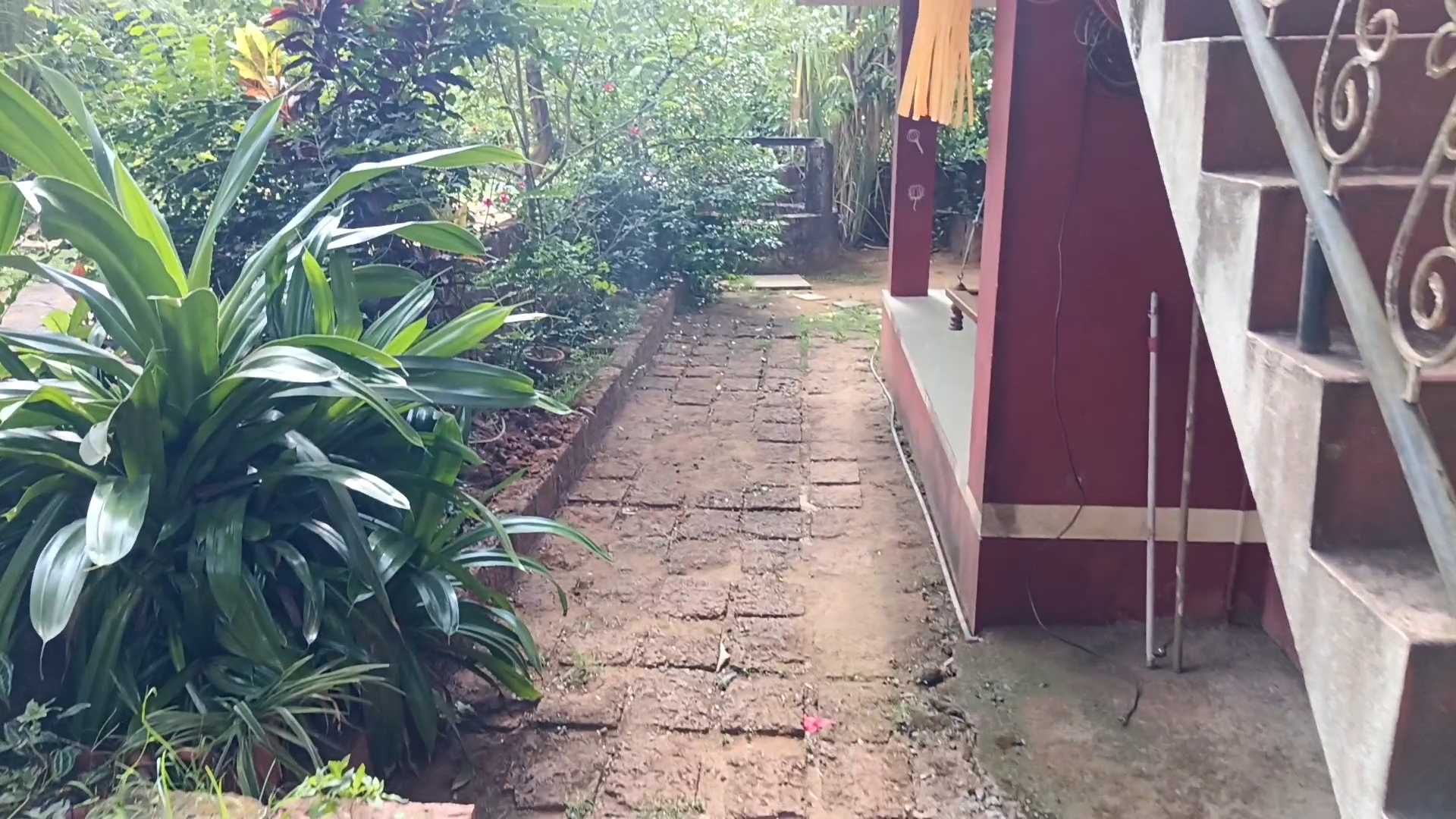 569-bungalow-ced6c56b-ae44-44cb-a140-244c920ea0b7.jpg