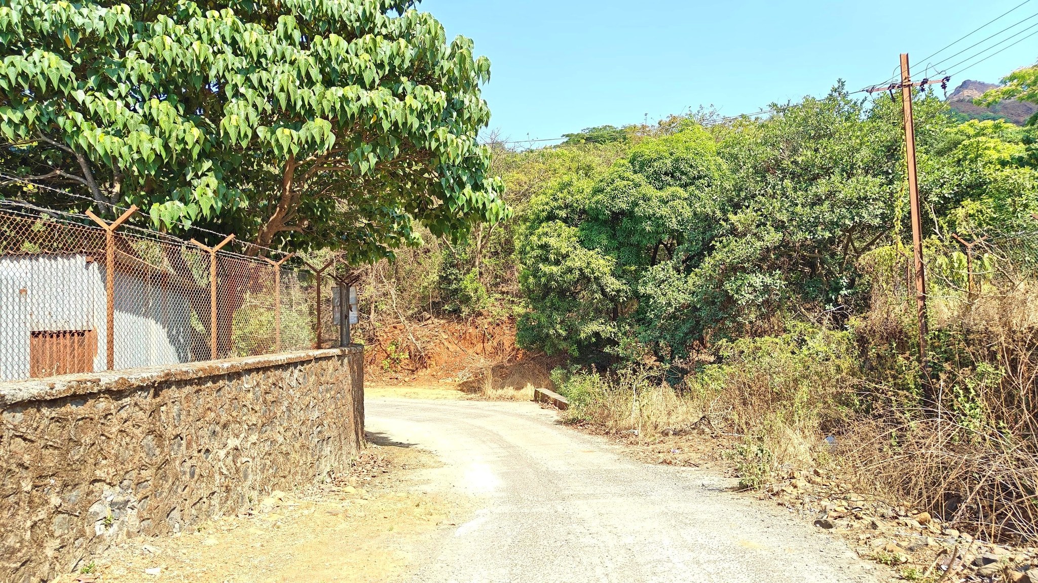 57-bungalow-93b53e71-0741-45e3-98b3-a2823b88c091.jpg