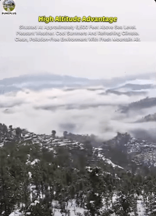 571-bungalow-5cd2d8c4-f6f8-486a-8d35-37b380f5588a.png