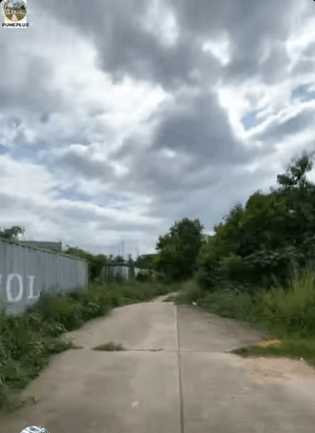 575-bungalow-d2125be0-e206-4b32-bc7d-03597a3b10eb.png