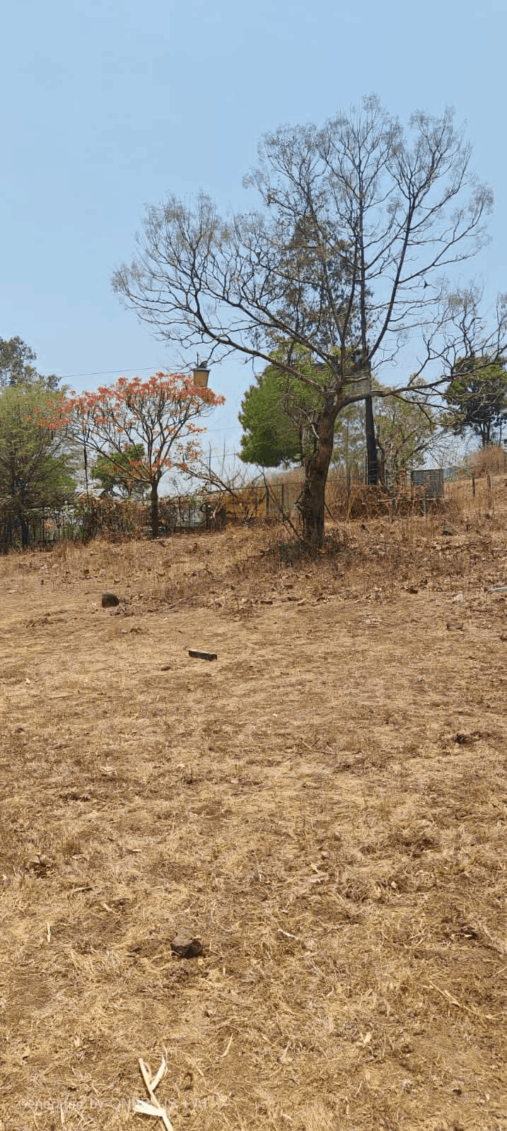 Pune-Khed Shivapur - 3 Gunthe NA Plot for Sale