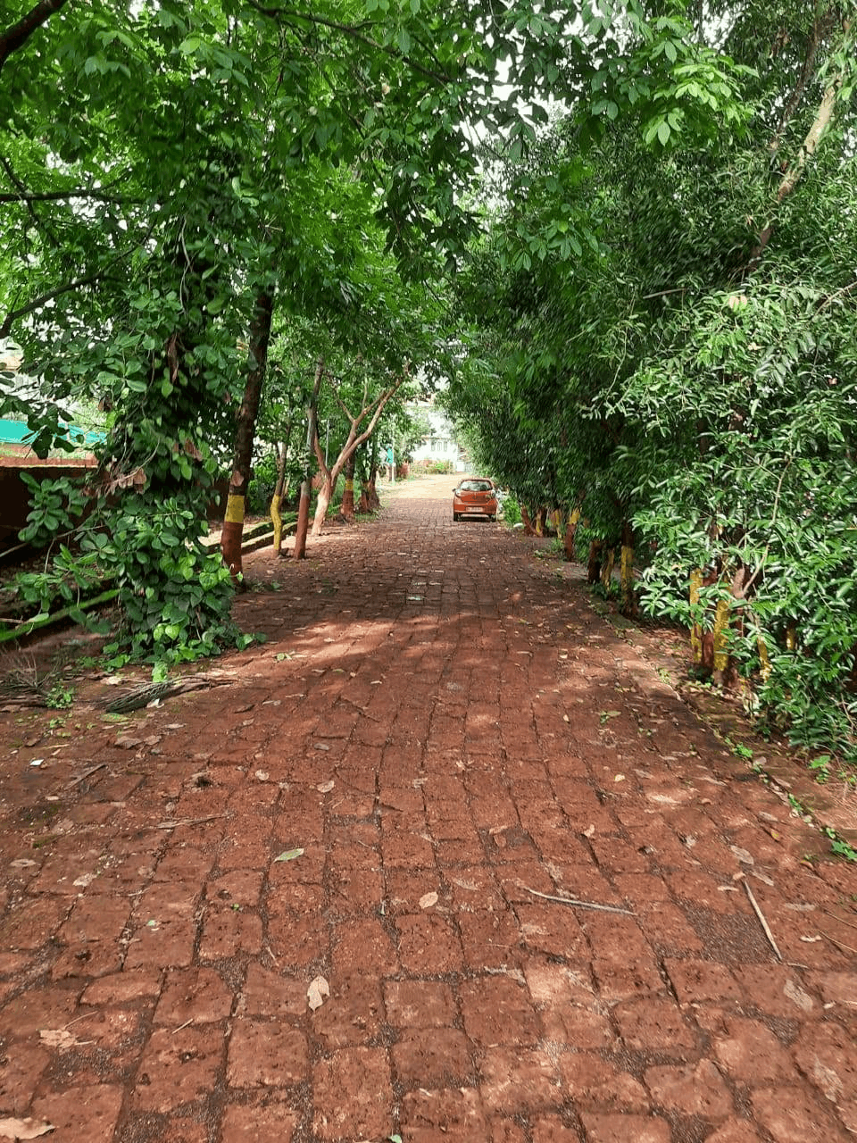 579-bungalow-ec4b9d14-2117-4b70-9dc1-324cce300615.png