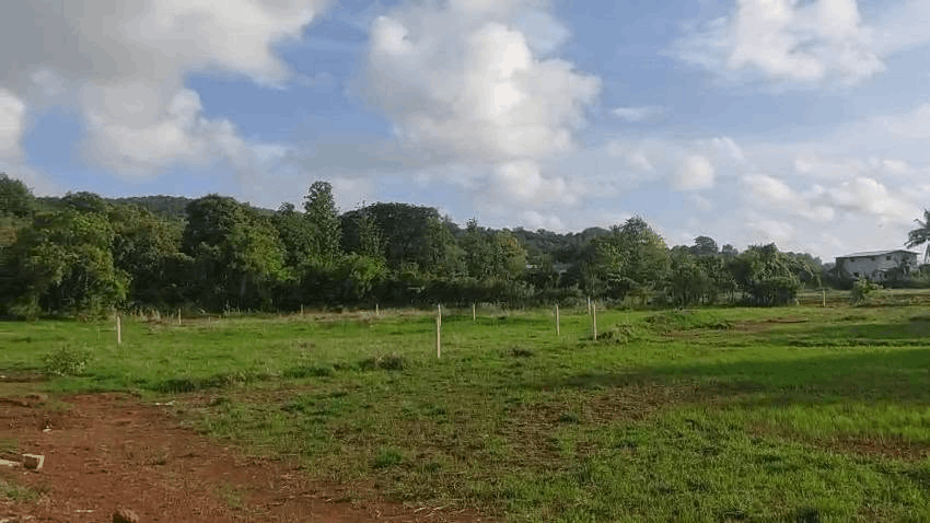 580-agriculture-plot-03af01aa-a4e0-428f-b5ec-427849513996.png