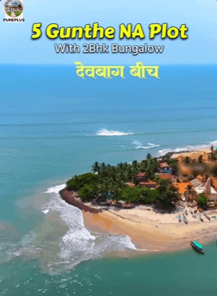 583-bungalow-4a41d79f-4727-46af-b641-9873d2aa11e7.png