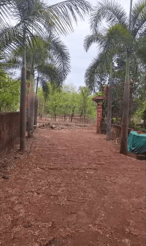 589-bungalow-e012dbf9-4359-4673-b308-f43ec3934372.png