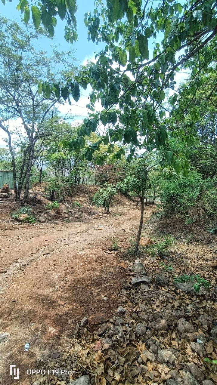 59-agriculture-plot-12b8530d-4057-4778-890c-0cc70278602f.jpg