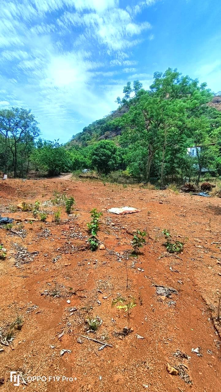 59-agriculture-plot-5d93ba4a-901b-4f62-8ff3-2bd34f8ee15f.jpg