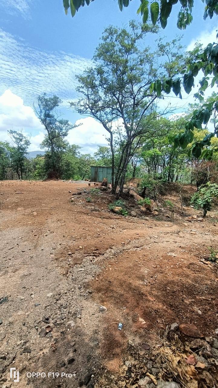 59-agriculture-plot-6123f9e4-cf49-4fdc-af32-8ca5a68d64e2.jpg