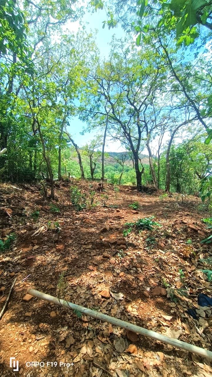59-agriculture-plot-6462ae5c-dd17-47ad-9e0b-81e64fdb63a9.jpg