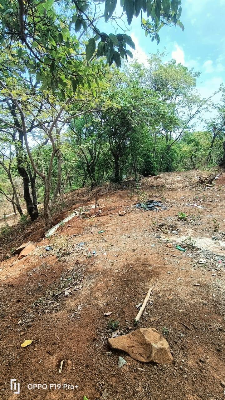 59-agriculture-plot-90d47c79-2af4-4bd8-b2ac-8bb71dfaa9e6.jpg