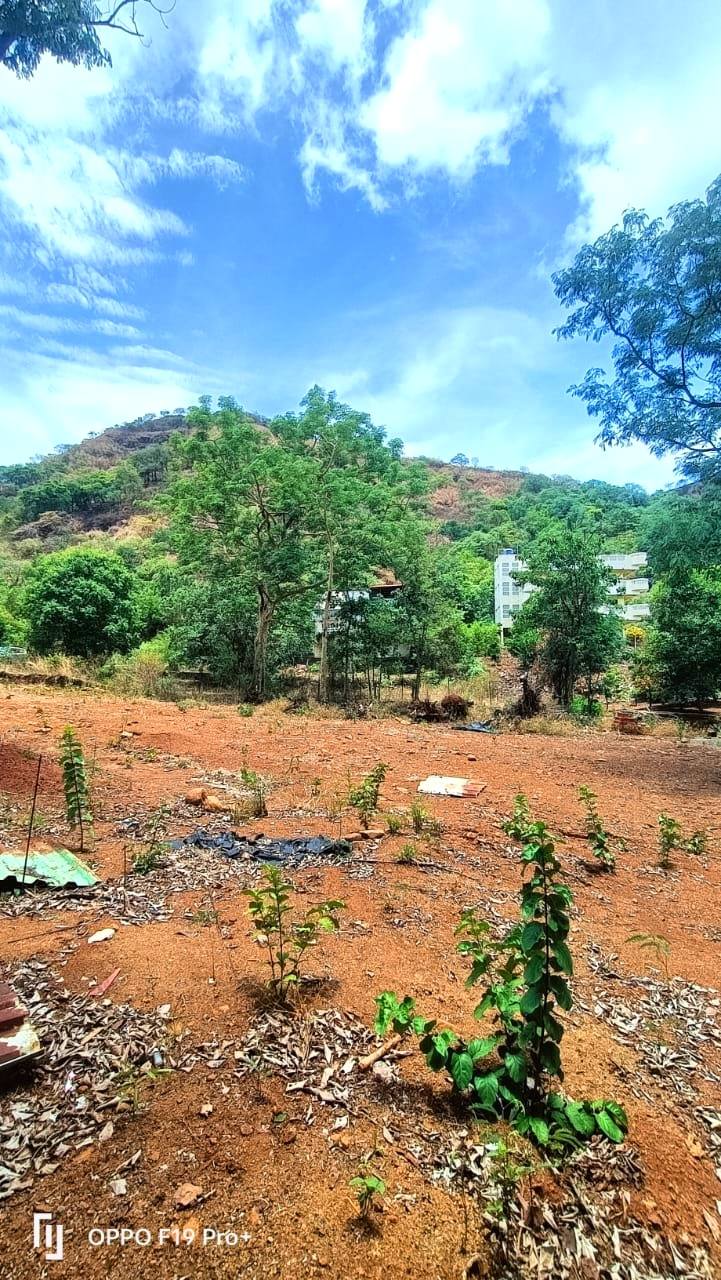 59-agriculture-plot-9c59d4e4-c23d-47aa-8c2d-dbc984477140.jpg