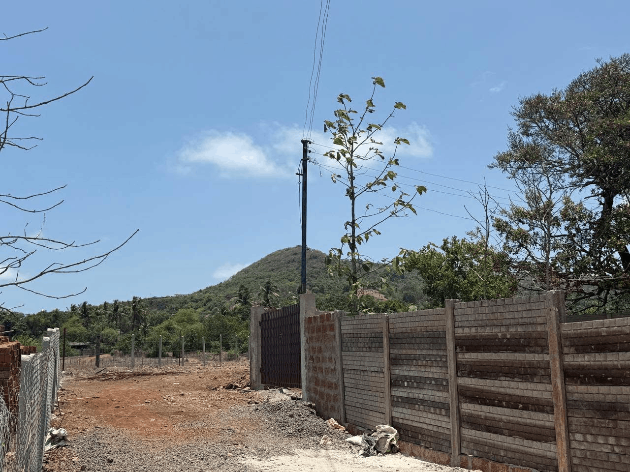 594-bungalow-16bee0dd-6097-497f-8ad3-cd056bca1ff3.png