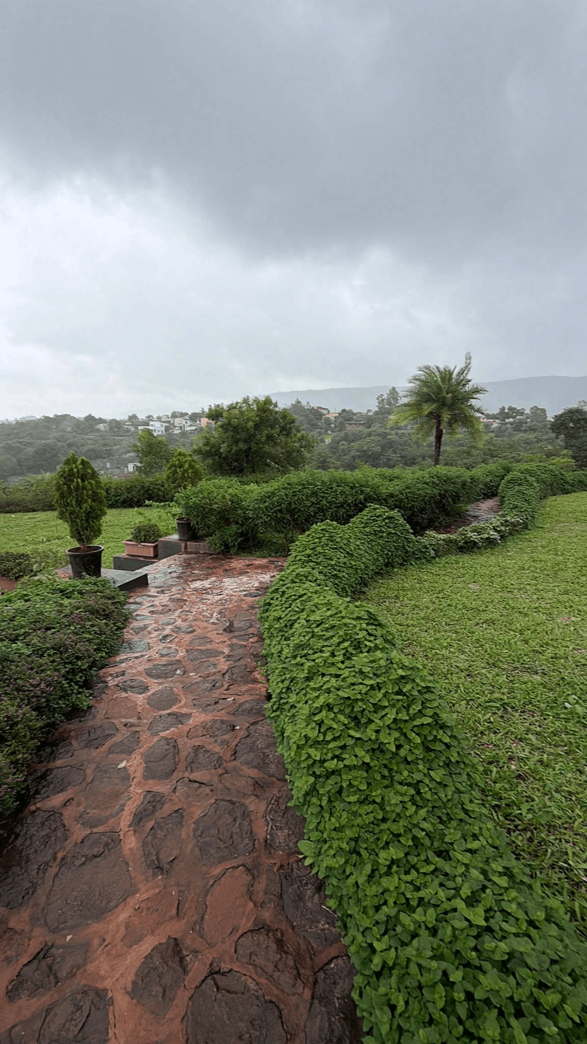 595-bungalow-b8e95d2b-6975-4d8b-a60c-901661c411ae.png