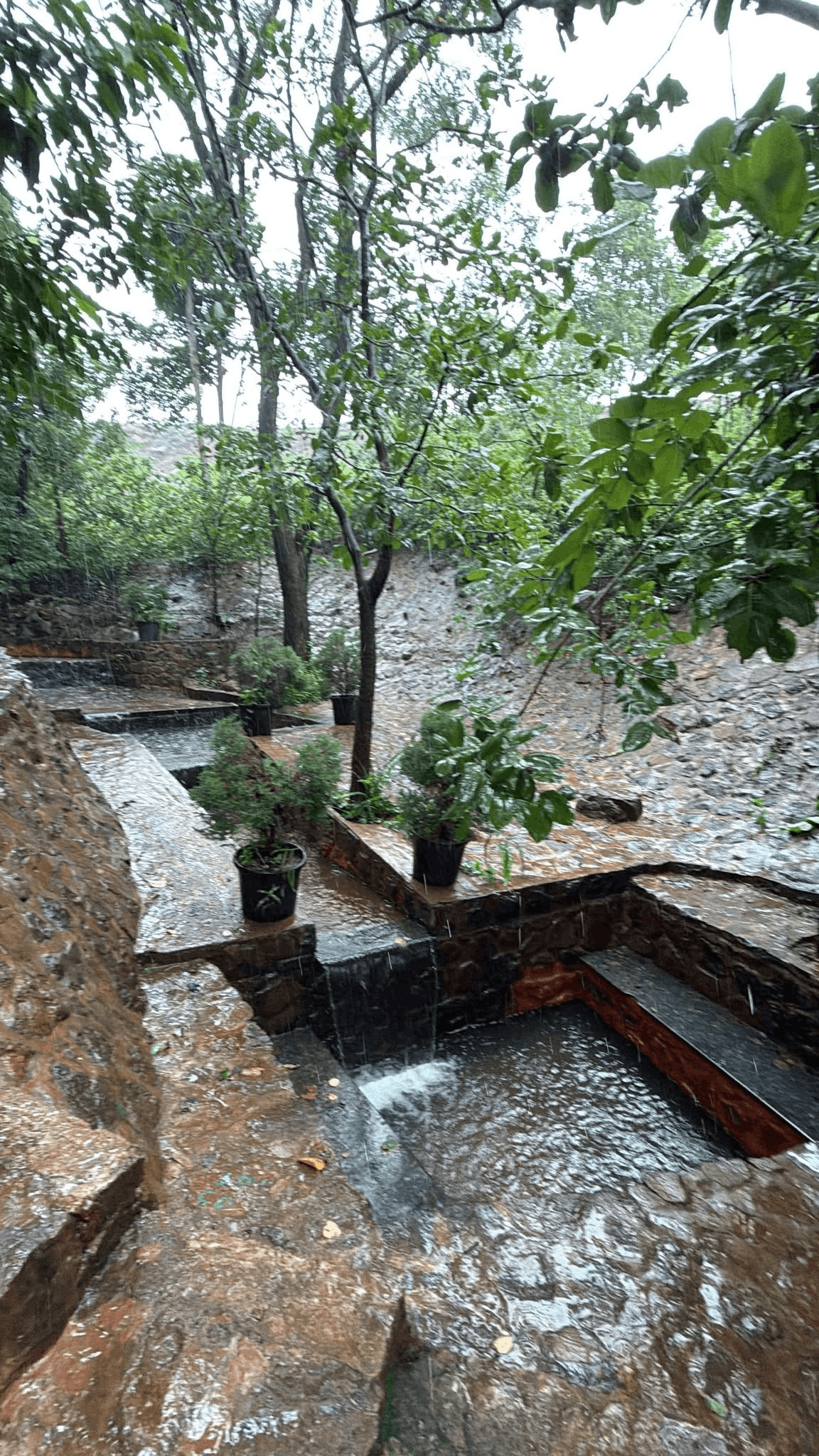 595-bungalow-c5ef5b9b-a339-4ba9-901c-0349f765f481.png