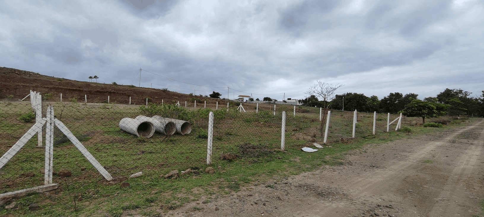 596-agriculture-plot-66d6699e-aa34-458b-aa2a-63c97678edcd.png