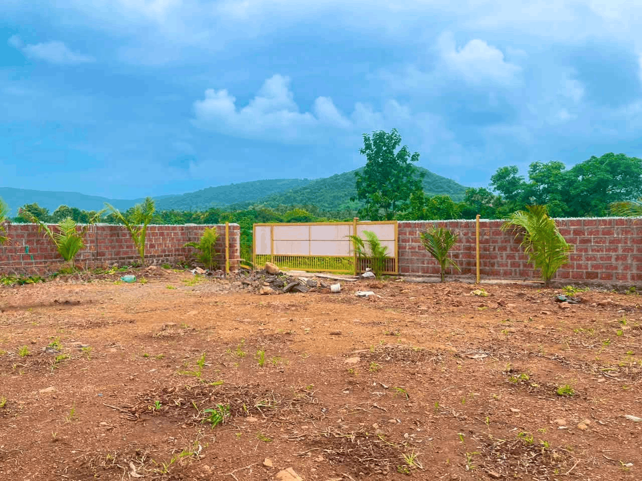 606-agriculture-plot-da99998d-ce1b-439d-873a-9aaa0051b9ed.png