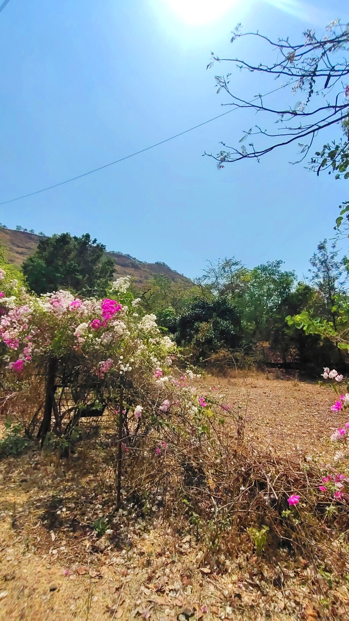 61-agriculture-plot-477e8072-c58c-4ce4-a12b-ab00c9882e07.jpg