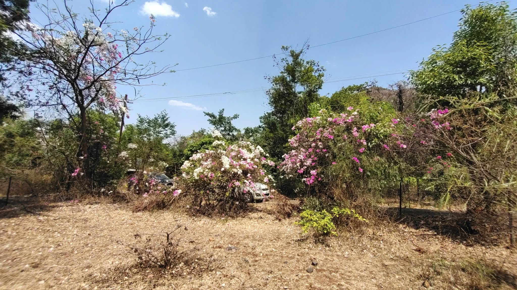 61-agriculture-plot-60bf2ad8-ecdf-4bfc-bf1d-e98f5a98daa4.jpg