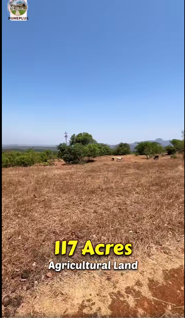 63-agriculture-plot-298408a2-1cea-46e3-9eec-74bb8a480686.png