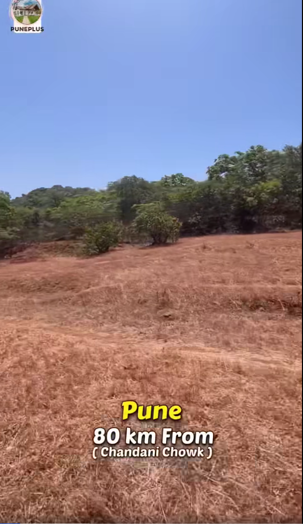 63-agriculture-plot-4bc45b3b-1bc9-4ffb-9070-235dd85c5993.png