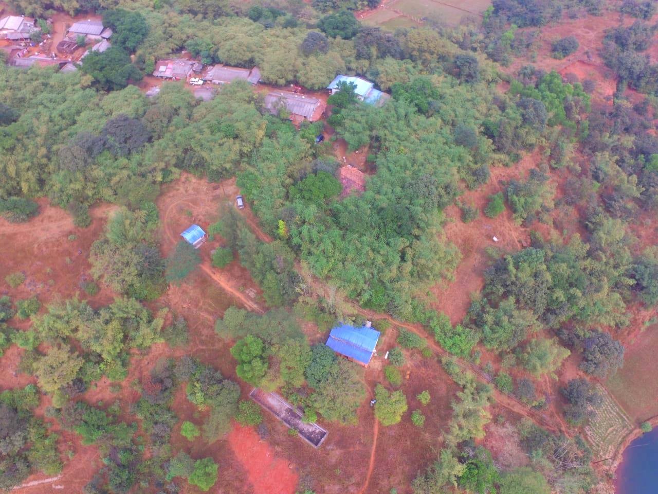 65-agriculture-plot-56c4be7c-602a-4c16-8350-b90476def6ef.jpg