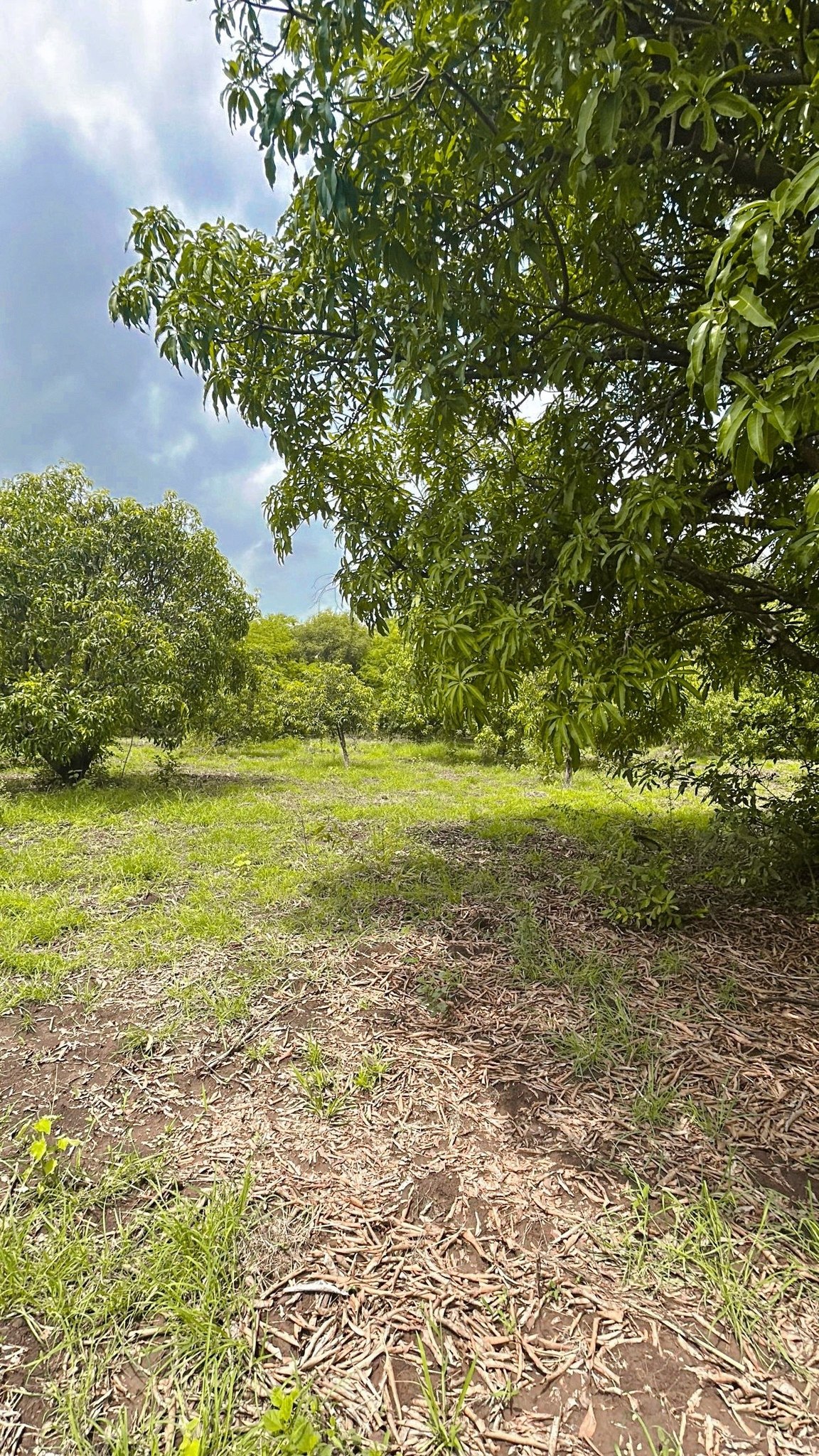 67-agriculture-plot-bbdebbce-54ce-4701-a55a-9e324882c9c4.jpg