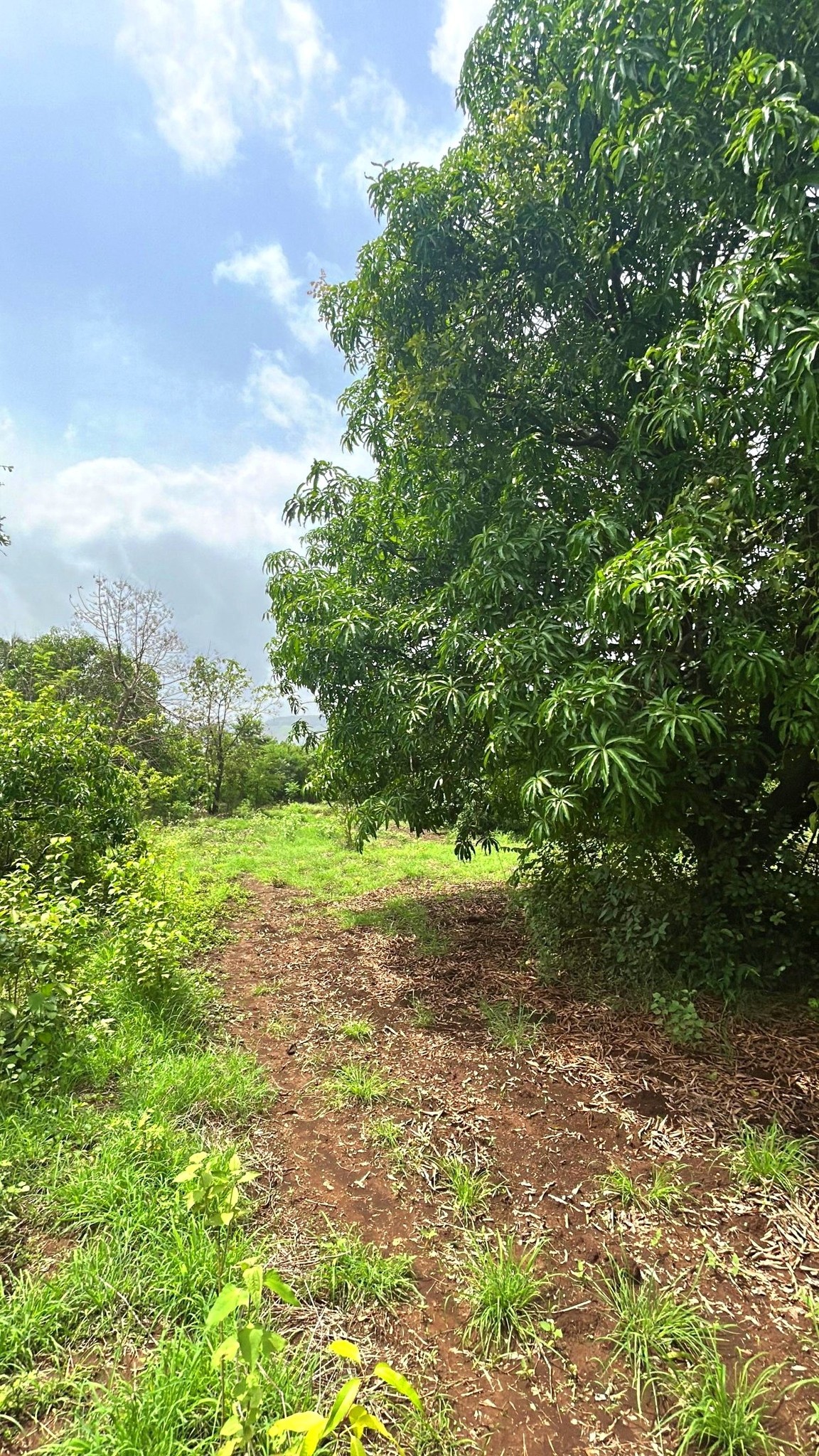 67-agriculture-plot-ca5df808-5e7d-486a-ab16-67eb6e56d13f.jpg