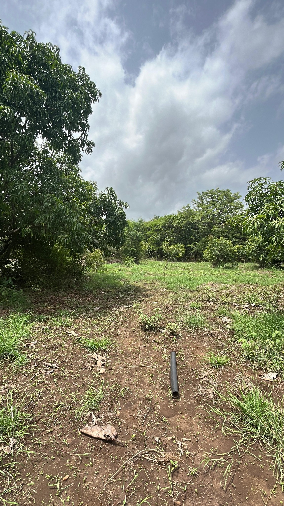 67-agriculture-plot-cc17e206-8303-48f3-8a4c-104a43700a47.jpg