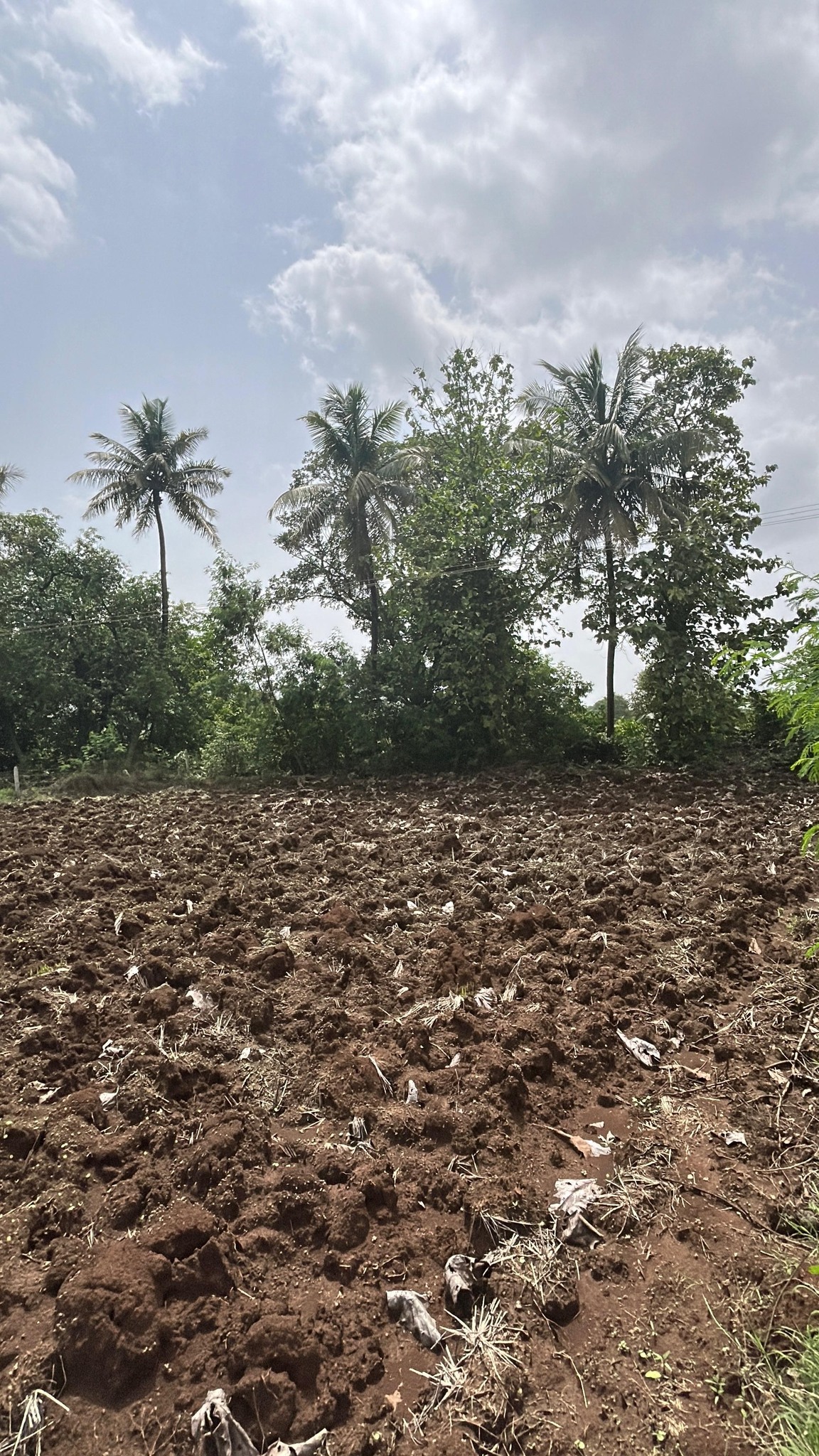 67-agriculture-plot-d40c2b31-6186-49c1-84df-fc031dd84ea7.jpg