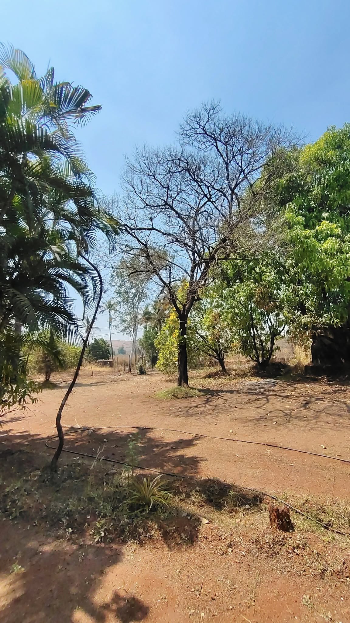 68-agriculture-plot-245a7d23-4522-4a18-8e11-8f3907d76982.jpg