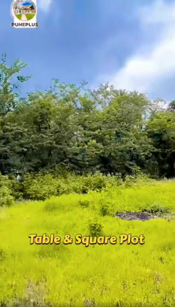 69-farmhouse-plot-504aa17f-4021-49c1-b5ff-f8efe27f4d49.png