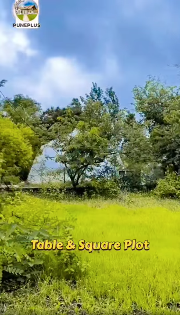 69-farmhouse-plot-ade80d2f-50cf-4a1b-8038-5d0464c7266b.png