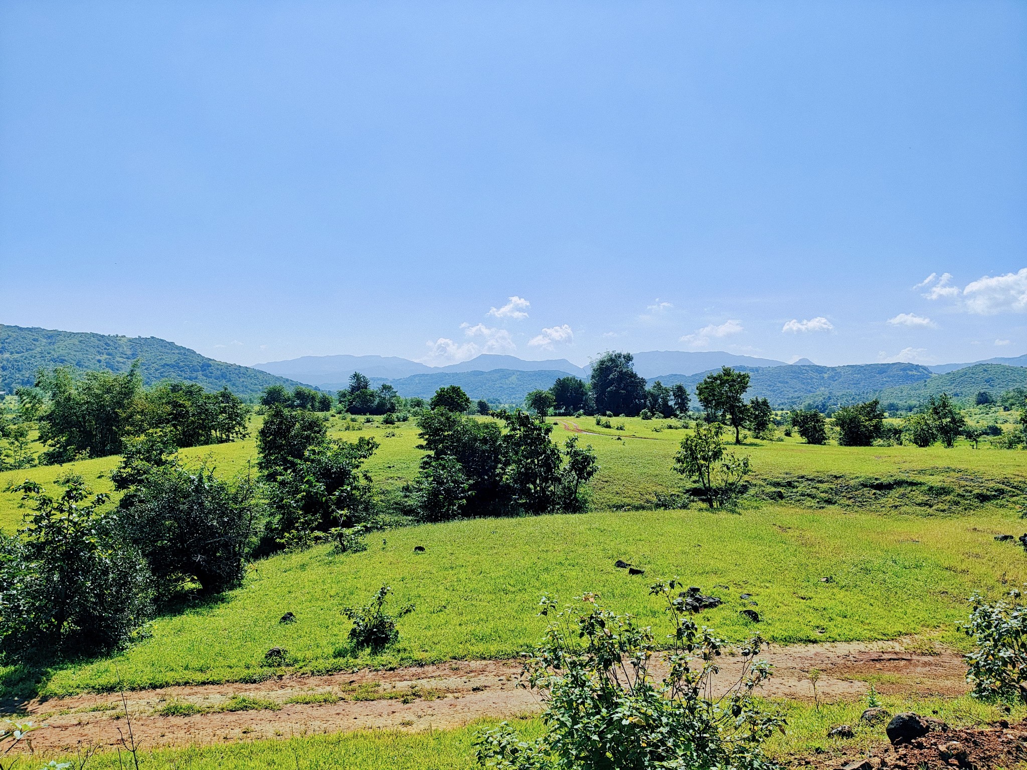 70-agriculture-plot-22c28f05-366d-462c-9cf3-8cb02d0ae18c.jpg