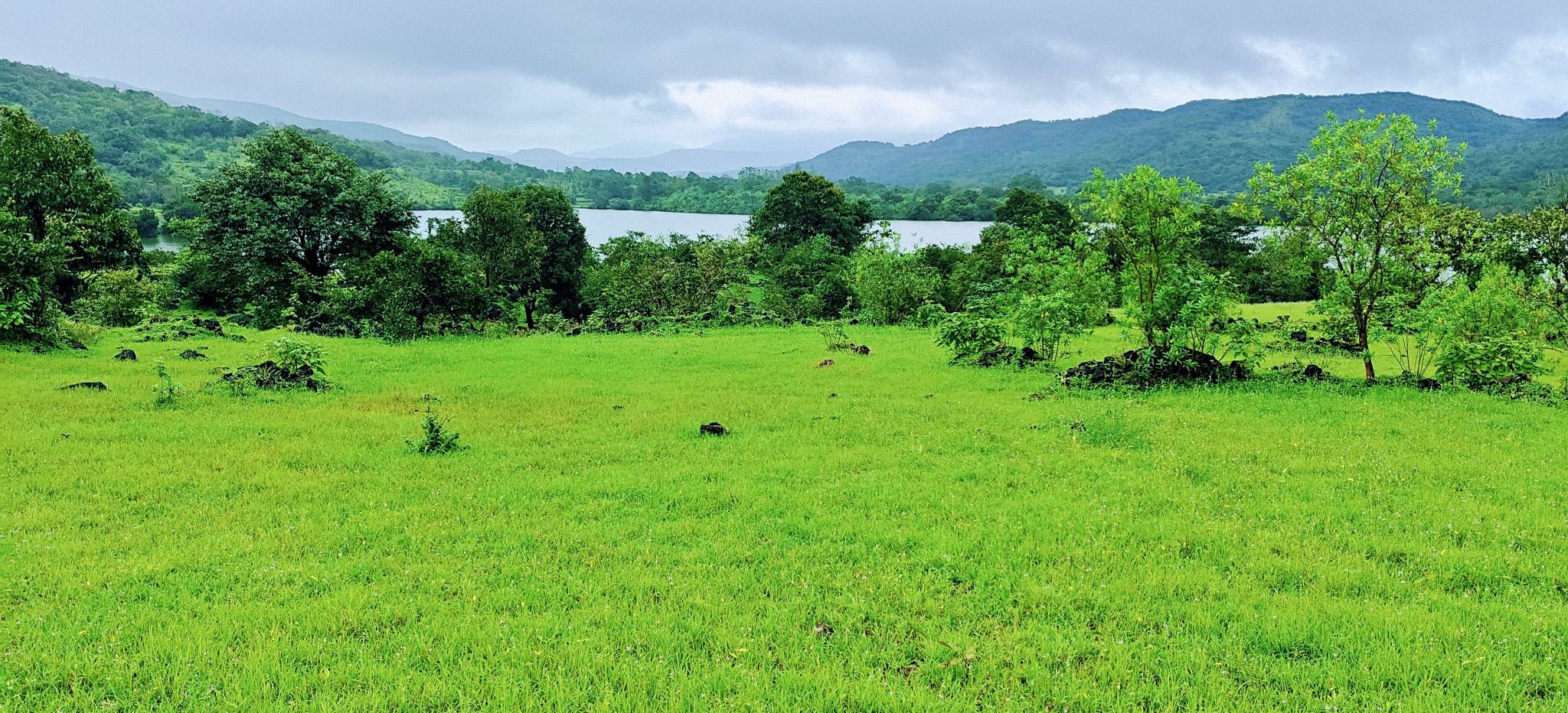70-agriculture-plot-5ee5d14c-0536-459c-bddd-b740c8cf022e.jpg