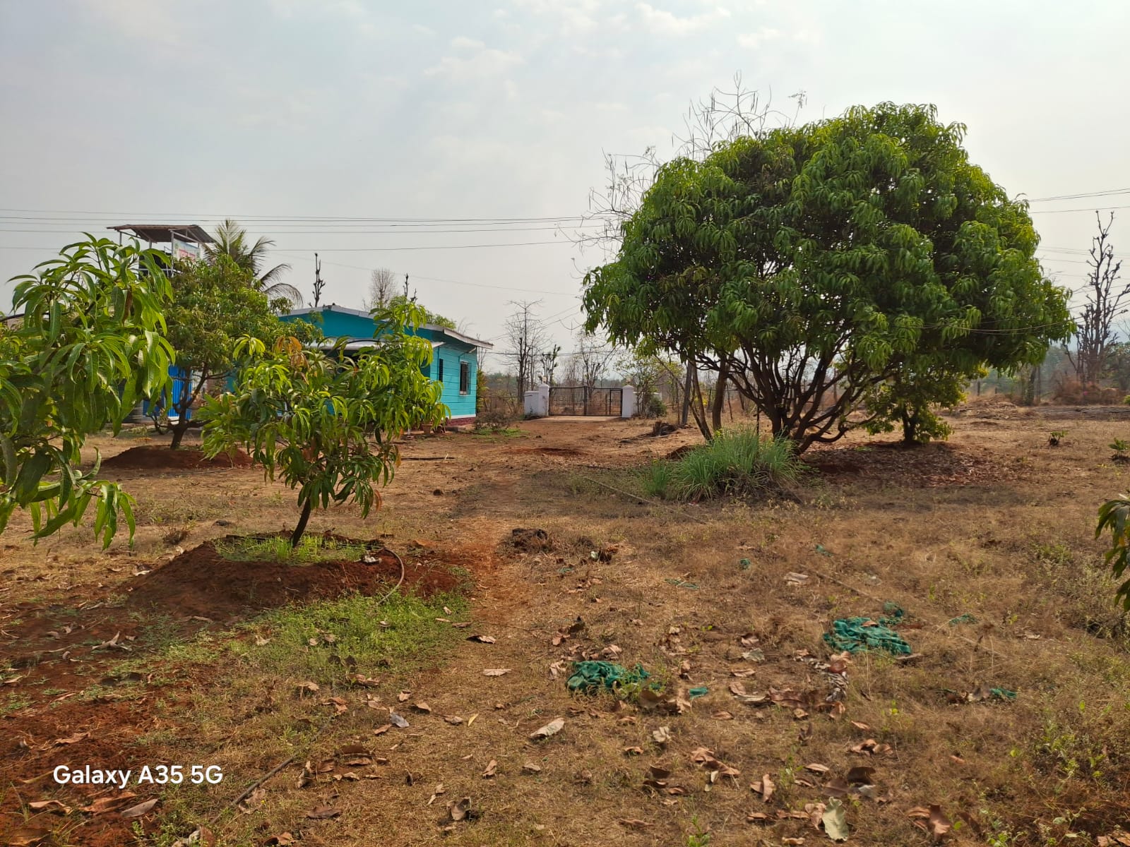 75-bungalow-50b4b937-b29a-416c-9b0b-b873df5bc336.jpeg