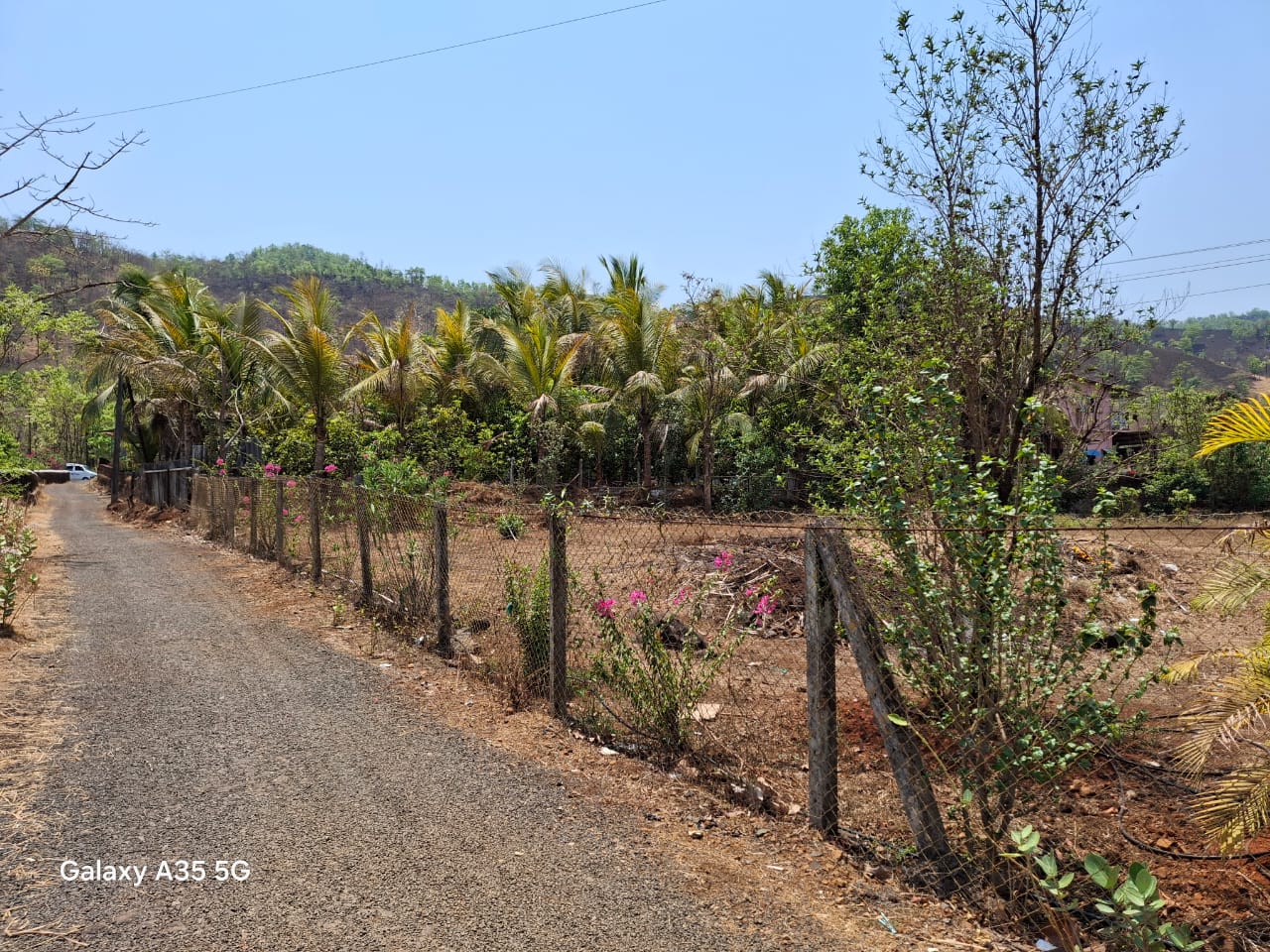 75-bungalow-6f680048-cab6-4781-b788-0093d2ea71af.jpeg